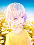  1girl absurdres bangs blurry blurry_background daisy eyebrows_behind_hair eyeshadow flat_chest flower hair_behind_ear highres in_mouth looking_at_viewer makeup nao_ri original red_eyeshadow shirt short_hair signature silver_hair sky solo upper_body violet_eyes white_flower yellow_shirt 