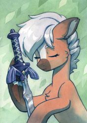  absurdres brown_fur closed_eyes crossover epona grey_hair highres holding holding_sword holding_weapon horse koviry master_sword my_little_pony no_humans ponification solo sword the_legend_of_zelda upper_body weapon 
