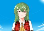  bangs blue_sky checkered checkered_vest closed_mouth clouds cloudy_sky collared_shirt green_hair kazami_yuuka medium_hair pale_skin red_eyes red_vest ronia shirt sky smile touhou vest white_shirt yellow_neckwear 