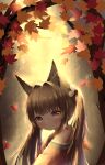  1girl absurdres amagi-chan_(azur_lane) animal_ears armpit_peek autumn autumn_leaves azur_lane bangs black_hair blunt_bangs commentary_request eyebrows_visible_through_hair fox_ears from_side grey_eyes head_tilt highres leaf long_hair looking_at_viewer looking_to_the_side maple_leaf n_(527959851) off-shoulder_kimono off_shoulder rope shimenawa sidelocks solo tree tree_branch twintails 