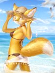 1girl :3 adjusting_clothes adjusting_headwear agnes_(fantastic_mr._fox) ancesra animal animal_ear_fluff animal_ears animal_nose artist_name ass back bare_shoulders bikini bird blue_background blue_sky boat body_fur breasts brown_bikini brown_headwear closed_mouth clouds commentary cowboy_shot day ears_through_headwear english_commentary fantastic_mr._fox fox_ears fox_girl fox_tail freckles from_behind furry gradient_sky hands_up hat highres horizon legs_apart looking_at_viewer looking_back motion_blur ocean outdoors patreon_username redrawn sailboat sarong seagull see-through sky small_breasts snout solo standing straw_hat sun_hat swimsuit tail two-tone_fur water watercraft watermark web_address white_fur white_sarong yellow_eyes yellow_fur 