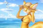  1girl :3 adjusting_clothes adjusting_headwear agnes_(fantastic_mr._fox) ancesra animal animal_ear_fluff animal_ears animal_nose artist_name back bare_shoulders bikini bird blue_background blue_sky boat body_fur breasts brown_bikini brown_headwear closed_mouth clouds commentary day ears_through_headwear english_commentary fantastic_mr._fox fox_ears fox_girl fox_tail freckles from_behind furry gradient_sky hands_up hat horizon looking_at_viewer looking_back motion_blur ocean outdoors patreon_username redrawn sailboat seagull sky small_breasts snout solo standing straw_hat sun_hat swimsuit tail two-tone_fur upper_body water watercraft watermark web_address white_fur yellow_eyes yellow_fur 