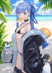  1girl beach bikini bird black_bikini black_choker blue_eyes bow bowtie breasts choker clouds coat fate/grand_order fate_(series) food food_in_mouth highres hood hood_down meltryllis_(fate) meltryllis_(swimsuit_lancer)_(fate) michitaro_smile micro_bikini navel ocean penguin ponytail popsicle purple_hair small_breasts swimsuit 