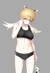  1girl absurdres animal_ear_fluff animal_ears arm_at_side bangs bare_arms bare_shoulders black_bra black_panties blonde_hair bra breasts collarbone deku_suke extra_ears eyebrows_visible_through_hair frown gradient_hair grey_background hair_between_eyes highres kemono_friends large_breasts leopard_(kemono_friends) looking_at_viewer low_twintails multicolored_hair navel panties simple_background solo sports_bra stomach tail toned twintails underwear underwear_only v-shaped_eyebrows white_hair yellow_eyes 