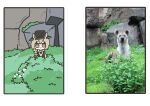  1girl animal animal_ears arknights bangs beanstalk_(arknights) black_headwear braid brown_eyes bush chibi closed_mouth fedora grey_hair hat hyena hyena_ears hyena_girl real_life_insert rihi_ewokakune solo 