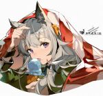  1girl animal_ear_fluff animal_ears arknights blanket character_name food grani_(arknights) grani_(miraculous_moment)_(arknights) green_jacket grey_hair hand_up holding holding_food horse_ears ice_cream ice_cream_cone jacket kagura_tohru long_hair looking_at_viewer official_alternate_costume portrait solo violet_eyes wristband 