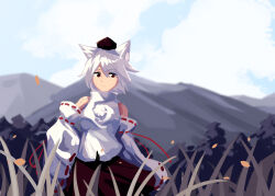  animal_ear_fluff animal_ears bare_shoulders breasts closed_mouth clouds day detached_sleeves falling_leaves furahata_gen grass hat highres inubashiri_momiji leaf mountain purple_skirt red_eyes red_hat red_ribbon ribbon shirt shirt_ribbon skirt standing tokin_hat touhou white_hair white_shirt wolf_ears wolf_girl youkai_mountain 