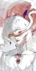  1girl aegyo_sal animal blouse brooch double-parted_bangs earrings expressionless head_tilt high_collar highres jewelry long_hair looking_at_viewer one_eye_covered original oversized_animal partially_shaded_face shirt slit_pupils snake solo waffle820 white_hair white_snake yellow_eyes 