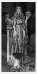  1girl absurdres arthurian_legend artist_name belt bird christian_sloan_hall cooking_pot fire fire_pit graphite_(medium) highres holding holding_skull holding_sword holding_weapon log long_hair looking_at_viewer monochrome morgan_le_fay_(mythology) owl robe skull sword traditional_media tree very_long_hair weapon 