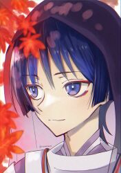  1boy autumn_leaves blue_hair blunt_ends closed_mouth clothing_cutout commentary_request eyeliner genshin_impact highres japanese_clothes kariginu kimono layered_sleeves leaf looking_to_the_side makeup male_focus mandarin_collar nonoataso03 outdoors portrait purple_kimono purple_sleeves purple_veil red_eyeliner scaramouche_(genshin_impact) scaramouche_(kabukimono)_(genshin_impact) shoulder_cutout smile solo string tsurime twitter_username veil violet_eyes white_background white_sleeves wispy_bangs wolf_cut 