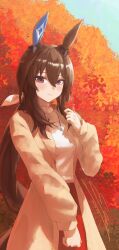  1girl absurdres admire_vega_(umamusume) animal_ears autumn_leaves blush breasts brown_coat brown_hair closed_mouth coat ear_covers hair_between_eyes highres horse_ears horse_girl horse_tail jewelry leaf long_hair long_sleeves looking_at_viewer necklace outdoors ponytail red_skirt single_ear_cover skirt smile solo starg_solun sweater tail umamusume violet_eyes white_sweater 