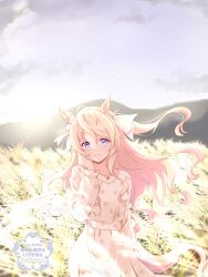  1girl animal_ears blonde_hair blue_eyes blush breasts closed_mouth dress field hair_between_eyes highres horse_ears horse_girl horse_tail jewelry long_hair long_sleeves looking_at_viewer necklace outdoors sky smile solo tail take20131004 umamusume victoire_pisa_(umamusume) wheat_field white_dress 