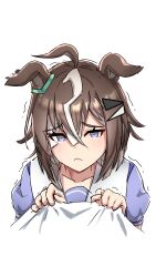  1girl 1other absurdres animal_ears brown_hair chaosdgm3 closed_mouth commentary crying crying_with_eyes_open hair_between_eyes highres horse_ears horse_girl looking_at_viewer multicolored_hair pov puffy_short_sleeves puffy_sleeves purple_shirt rulership_(umamusume) sailor_collar school_uniform shirt shirt_tug short_hair short_sleeves tears tracen_school_uniform two-tone_hair umamusume white_hair white_sailor_collar 