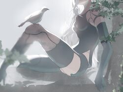  1girl android backlighting bare_shoulders bird bird_on_leg black_gloves black_legwear black_shorts breasts collarbone commentary concrete dove elbow_gloves gloves head_out_of_frame high_heels highres joints kaino_osushi85 leaf long_hair medium_breasts micro_shorts nier_(series) nier_automata robot_joints shorts single_thighhigh sitting solo tank_top thigh-highs thighs white_hair yorha_type_a_no._2 