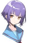  1girl absurdres bangs blue_sailor_collar brown_eyes closed_mouth commentary_request expressionless eyebrows_behind_hair highres looking_at_viewer nagato_yuki portrait purple_hair sailor_collar short_hair signalviolet simple_background solo suzumiya_haruhi_no_yuuutsu white_background 