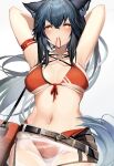  1girl absurdres animal_ears arknights arm_strap armpits arms_up bangs bare_shoulders belt bikini black_belt black_hair blush breasts commentary cowboy_shot eyebrows_visible_through_hair front-tie_bikini front-tie_top gradient gradient_background grey_background hair_between_eyes hair_tie_in_mouth highres long_hair looking_at_viewer medium_breasts mouth_hold navel o-ring o-ring_bikini red_bikini revision solo standing stomach swimsuit tab_head tail texas_(arknights) wolf_ears wolf_tail yellow_eyes 