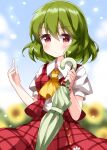  1girl ascot bangs blue_sky blurry blurry_background blush buttons commentary_request dress eyebrows_visible_through_hair flower green_hair green_umbrella hand_up highres holding holding_umbrella kazami_yuuka looking_at_viewer outdoors petals plaid plaid_dress pout red_dress red_eyes ruu_(tksymkw) shirt short_hair short_sleeves sky solo sunflower touhou umbrella undershirt upper_body wavy_hair white_shirt yellow_neckwear 