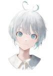  1boy absurdres ahoge bangs blue_eyes collared_shirt fang grey_hair highres looking_at_viewer male_focus mile_(mil2) original portrait shirt short_hair simple_background solo white_background 
