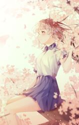  1girl blue_skirt blurry blurry_foreground blush brown_eyes brown_hair cherry_blossoms closed_mouth collared_shirt duyu floating_hair flower highres long_hair miniskirt original pleated_skirt school_uniform shirt short_sleeves sitting sitting_on_branch skirt solo spring_(season) white_flower white_shirt wing_collar 