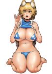  1girl absurdres animal_ear_fluff animal_ears bangs bare_arms bare_legs barefoot bikini bikini_under_clothes blonde_hair blue_bikini breasts brown_eyes chanta_(ayatakaoisii) clothes_lift eyebrows_visible_through_hair fox_ears full_body hands_up highres large_breasts lifted_by_self looking_at_viewer navel no_tail open_mouth seiza shirt short_hair simple_background sitting slit_pupils solo stomach sweat swimsuit tabard touhou white_background yakumo_ran 