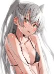  1girl amatsukaze_(kancolle) bikini black_bikini breasts brown_eyes commentary_request highres kantai_collection long_hair looking_at_viewer silver_hair simple_background small_breasts solo swimsuit takanashi_kei_(hitsujikan) two_side_up upper_body white_background 