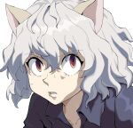  1other androgynous animal_ears bangs blue_shirt cat_ears collared_shirt commentary_request eyebrows_visible_through_hair eyelashes grey_hair hair_between_eyes highres hunter_x_hunter neferpitou parted_lips portrait q_haoyu shirt simple_background solo violet_eyes white_background 