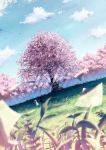  bungaku_shoujo cherry_blossoms cloud clouds field highres inoue_konoha lying paper scenery sitting tree yakkun 