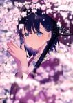  1girl achiki bangs black_hair blue_eyes blurry blurry_background blurry_foreground cherry_blossoms closed_mouth depth_of_field hands_together haori holding holding_umbrella japanese_clothes kimono looking_at_viewer medium_hair oil-paper_umbrella original solo symbol_commentary tree umbrella 