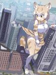  1girl absurdres animal_ears animal_print bare_shoulders blush bow bowtie cat_(kemono_friends) cat_ears cat_girl cat_print cat_tail city commentary_request elbow_gloves eyebrows_visible_through_hair giant gloves high-waist_skirt highres iwa_(iwafish) kemono_friends light_brown_hair multicolored_hair print_gloves print_legwear print_neckwear print_skirt shirt shoes short_hair skirt sleeveless sneakers solo tail thigh-highs white_hair white_shirt yellow_eyes zettai_ryouiki 