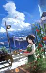  1girl aircraft apron bangs black_hair blue_eyes blue_sky city closed_mouth clouds commentary_request cowboy_shot cumulonimbus_cloud day food green_apron helicopter highres holding juice lamp long_hair looking_at_viewer m.a.y. original outdoors plant short_sleeves signature sky smile solo standing summer sweat tomato water 