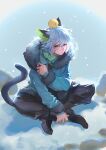  1boy animal_ears animal_on_head bird bird_on_head black_footwear black_pants blue_coat cat_boy cat_ears cat_tail coat full_body fur_trim highres hood hood_down long_sleeves luoxiaohei older on_head pants shadow shoes short_hair sitting solo suncle tail the_legend_of_luo_xiaohei white_hair 