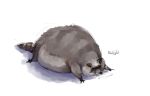  animal animal_focus fat full_body lying no_humans on_stomach original purelygross raccoon simple_background solo white_background 