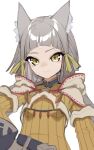  1girl animal_ears bangs blunt_bangs bodysuit cat_ears highres nia_(xenoblade) short_hair silver_hair sketch solo thupoppo xenoblade_chronicles_(series) xenoblade_chronicles_2 yellow_bodysuit yellow_eyes 