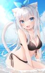  1girl :d animal_ears between_legs bikini black_bikini blue_eyes breasts cat_ears cat_tail fang hairband hand_between_legs highres in_water large_breasts long_hair looking_at_viewer open_mouth original partially_submerged ringouulu silver_hair skin_fang smile swimsuit tail very_long_hair water 