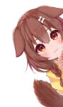  1girl :3 absurdres animal_ears brown_eyes brown_hair closed_mouth dog_ears dog_girl dog_tail eyebrows_visible_through_hair highres hololive inugami_korone kohe_billialot lips looking_at_viewer phone_wallpaper solo tail wallpaper 