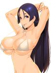  1girl absurdres armpits bare_arms bare_shoulders bikini bikini_in_mouth breasts dyun fate/grand_order fate_(series) hair_tie highres large_breasts long_hair looking_at_viewer minamoto_no_raikou_(fate) mouth_hold navel purple_hair simple_background skindentation solo swimsuit tying_hair upper_body violet_eyes white_background white_bikini 