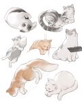  animal_focus cat combing commentary english_commentary highres luimiart no_humans original sleeping tail tail_hug tongue tongue_out white_cat 