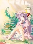  barefoot book dust feet finger_to_mouth hat legs long_hair mousariababa patchouli_knowledge plant purple_eyes purple_hair ribbon sitting solo touhou violet_eyes window 
