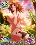  1girl ass back bikini bikini_bottom breasts brown_hair card_(medium) chess_piece clouds covering covering_breasts cowboy_shot day eyebrows_visible_through_hair hair_between_eyes high_school_dxd large_breasts looking_at_viewer official_art open_mouth outdoors queen_(chess) sky solo swimsuit teeth tongue topless torn_clothes venelana_gremory violet_eyes wet 