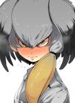  1girl angry bad_id bad_pixiv_id blush closed_mouth from_side full-face_blush grey_hair grey_jacket head_wings jacket kemono_friends looking_at_viewer looking_to_the_side multicolored_hair necktie portrait red_eyes sanpaku shoebill_(kemono_friends) simple_background solo takato_kurosuke upper_body white_background white_neckwear yellow_eyes 