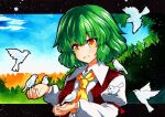  1girl :d ascot bangs bird blue_sky eyebrows_visible_through_hair grass green_hair juliet_sleeves kazami_yuuka long_sleeves looking_at_animal looking_at_viewer open_mouth outdoors plaid plaid_vest puffy_sleeves qqqrinkappp red_eyes red_vest short_hair sky smile touhou traditional_media upper_body vest yellow_neckwear 