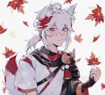  1boy absurdres autumn_leaves blush genshin_impact grey_hair highres kaedehara_kazuha long_hair looking_at_viewer mono-caeli multicolored_hair ponytail red_eyes streaked_hair white_background 