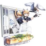  1girl :d animal_ears autodefenestration bird blonde_hair blue_eyes blue_shirt cat_ears cat_tail collar curtains fang fish fishbowl full_body girls_frontline girls_frontline_neural_cloud highres idw_(girls_frontline) mechanical_hands mechanical_legs mouth_hold official_art open_mouth open_window plant pouncing shirt sleeves_rolled_up smile solo symbol-shaped_pupils tail transparent_background twintails window windowsill 