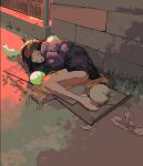  1girl absurdres bare_legs barefoot brick_wall brown_hair brown_scarf bruise cardboard cat closed_mouth coat commentary dobunomeme full_body grass highres homeless injury lying on_ground on_side open_mouth original outdoors purple_coat scarf sleeping solo 