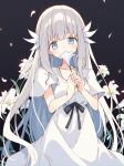  1girl absurdres bangs black_background black_ribbon blue_eyes blush dress ender_lilies_quietus_of_the_knights flower highres holding holding_flower lily_(ender_lilies) lily_(flower) long_hair ribbon short_sleeves sidelocks silver_hair solo upper_body w_arms white_dress white_flower zoirun 