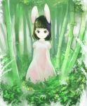  bamboo bamboo_forest bangs black_hair blunt_bangs bunny_ears english expressionless forest green gua inaba_tewi nature rabbit_ears short_hair signature solo standing touhou 