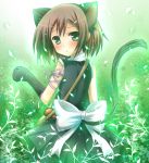 1boy :o baka_to_test_to_shoukanjuu bow cat_ears cat_tail hair_ornament kinoshita_hideyoshi ko-ta kouta. looking_at_viewer looking_back paws purple_ribbon tail trap white_bow