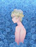  1boy blonde_hair blue_eyes blue_flower blue_rose bomhat commentary eugeo floral_background flower from_side highres male_focus nude parted_lips profile rose short_hair solo sword_art_online upper_body 