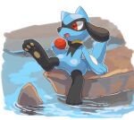  :d arm_support commentary_request full_body gen_4_pokemon holding kikuyoshi_(tracco) no_humans open_mouth paws pokemon pokemon_(creature) red_eyes riolu ripples sitting smile solo toes tongue water 