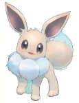  alternate_color eevee fangs full_body gen_1_pokemon grey_eyes highres kikuyoshi_(tracco) looking_at_viewer no_humans open_mouth paws pokemon pokemon_(creature) shiny_pokemon signature smile solo standing symbol-only_commentary toes 